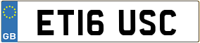 Trailer License Plate
